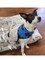 Make Your Own Fleece Dog Bandana Activity for Elderly, Low Vision, Blind, Disabled, Dementia and Child Friendly, Simply lace with Fleece Ribbon & Plastic Needle, Package of 4